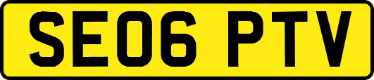 SE06PTV