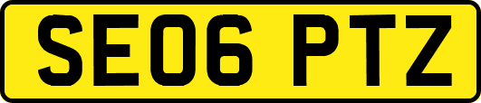 SE06PTZ