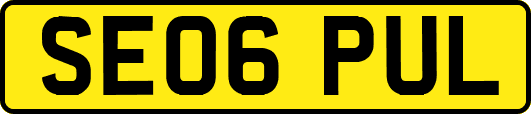 SE06PUL