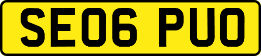 SE06PUO