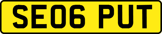 SE06PUT
