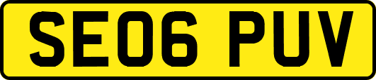 SE06PUV