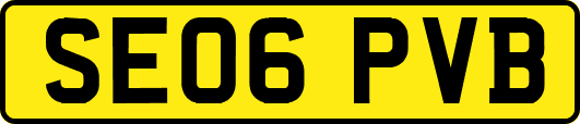 SE06PVB