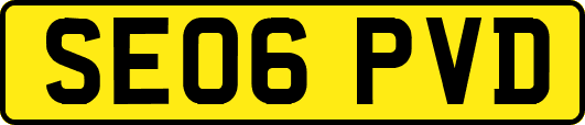 SE06PVD