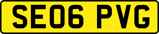 SE06PVG