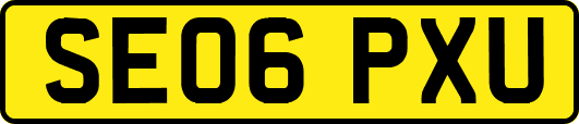 SE06PXU