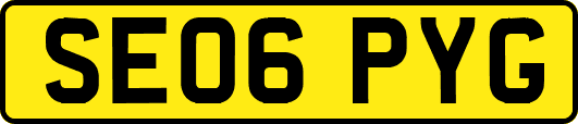 SE06PYG