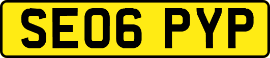 SE06PYP
