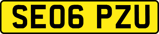 SE06PZU