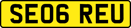 SE06REU