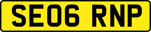 SE06RNP