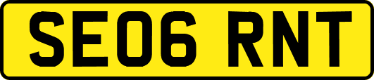 SE06RNT