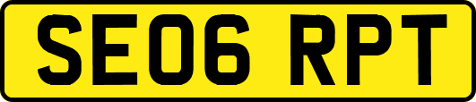 SE06RPT