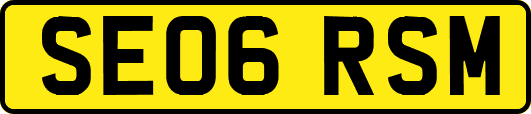 SE06RSM