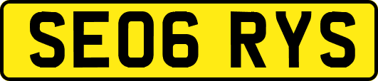 SE06RYS