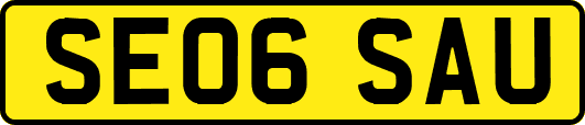 SE06SAU