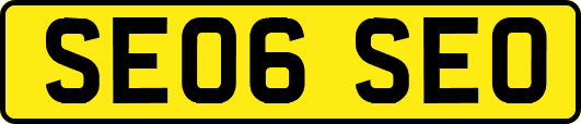 SE06SEO