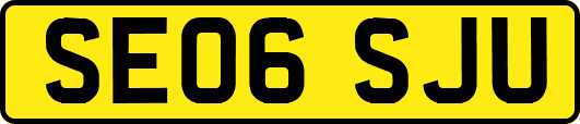 SE06SJU