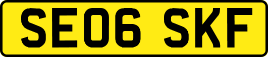 SE06SKF