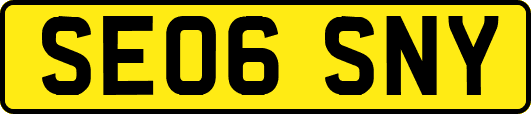 SE06SNY