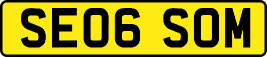 SE06SOM