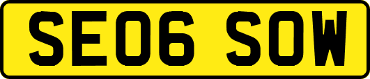SE06SOW