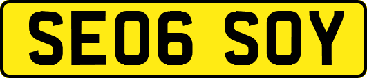 SE06SOY