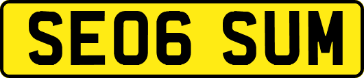 SE06SUM