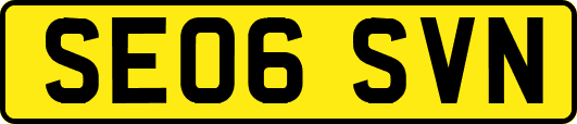 SE06SVN