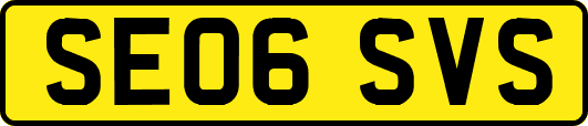 SE06SVS
