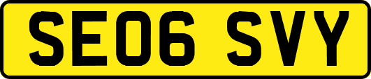 SE06SVY