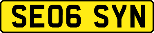 SE06SYN