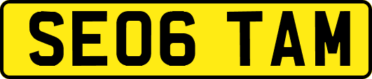 SE06TAM