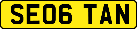 SE06TAN