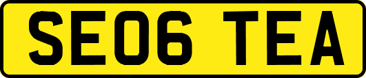SE06TEA