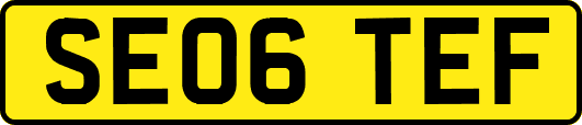 SE06TEF