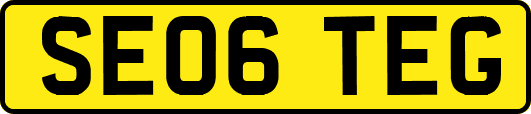 SE06TEG