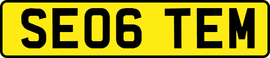 SE06TEM