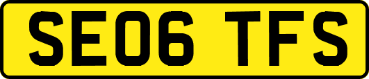 SE06TFS