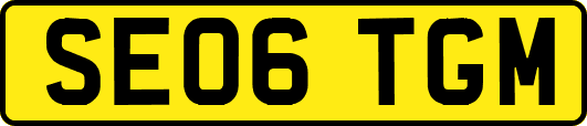 SE06TGM