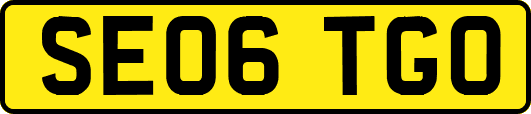 SE06TGO