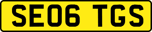 SE06TGS