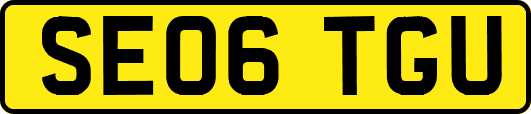 SE06TGU