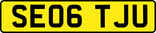 SE06TJU