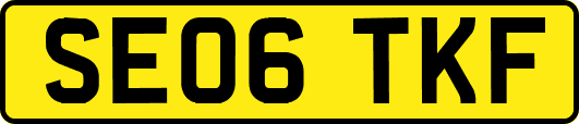 SE06TKF