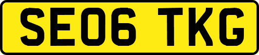 SE06TKG
