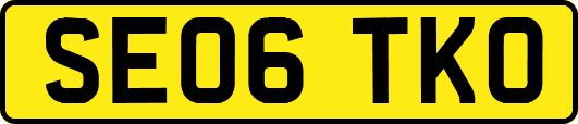 SE06TKO