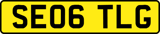 SE06TLG