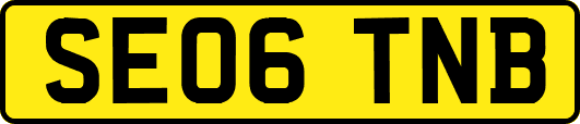 SE06TNB