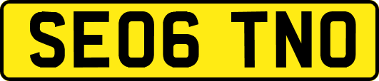 SE06TNO